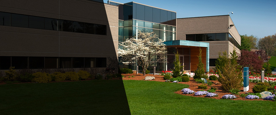 Graceville Landscapers